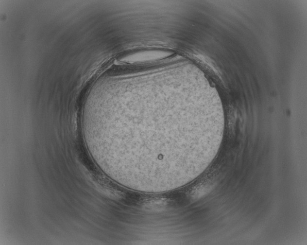 X0000077320206200611101506