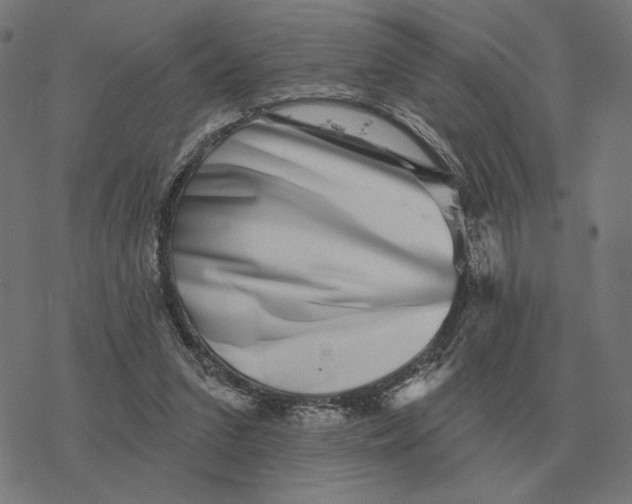 X0000077320207200611101506