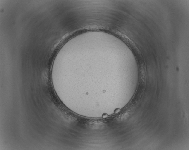 X0000077320208200611101506