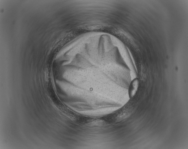 X0000077320210200611101506