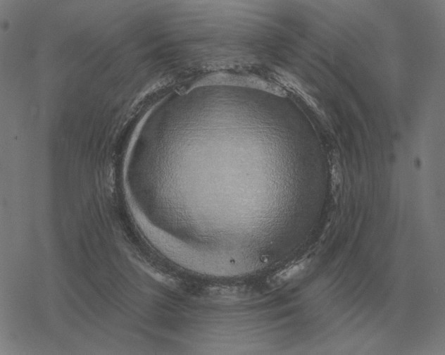 X0000077320211200611101506