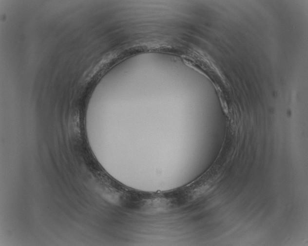 X0000077320212200611101506