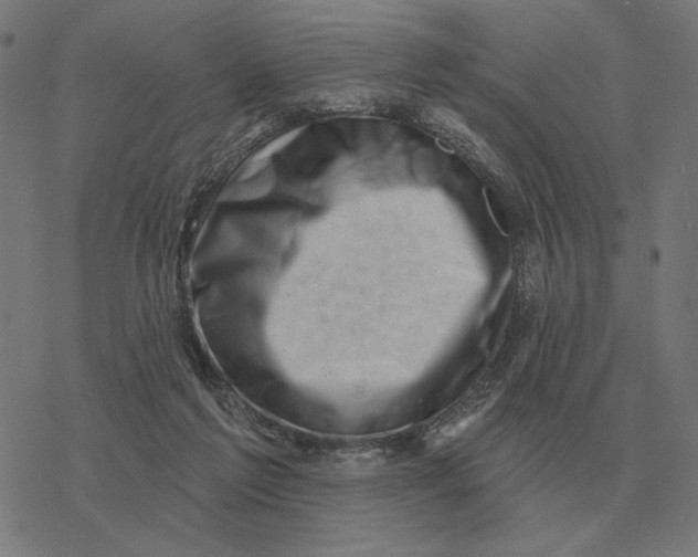 X0000077320213200611101506