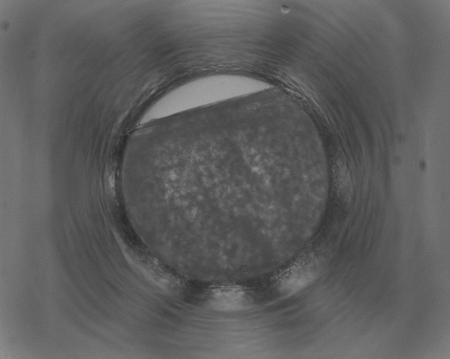 X0000077320214200611101506