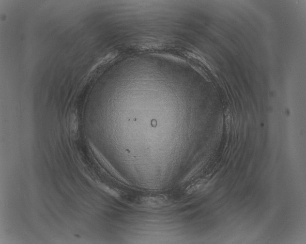 X0000077320215200611101506