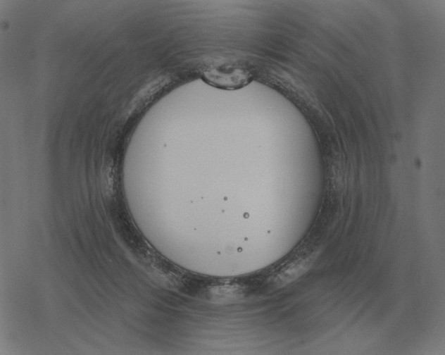 X0000077320216200611101506