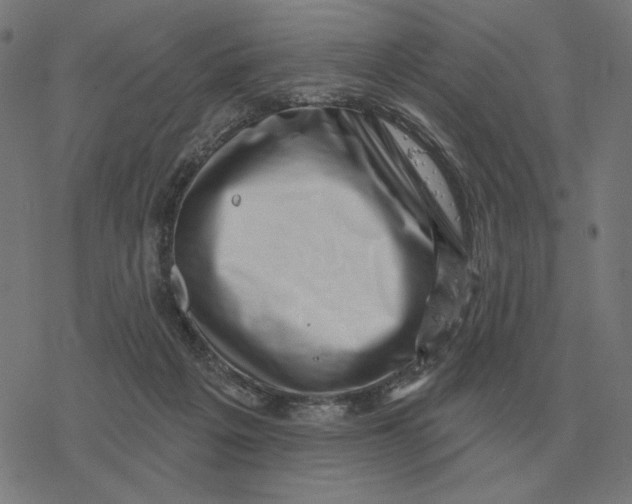 X0000077320217200611101506