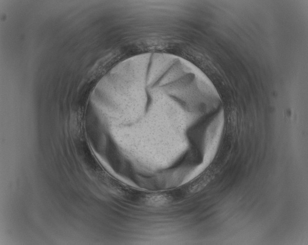 X0000077320218200611101506