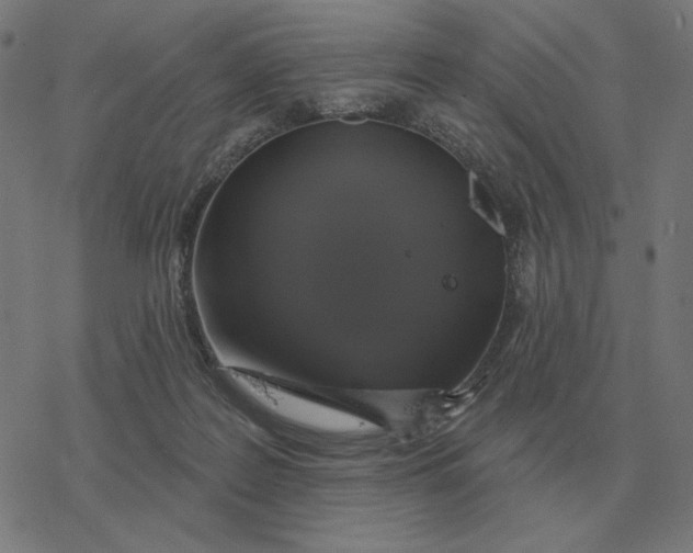 X0000077320219200611101506