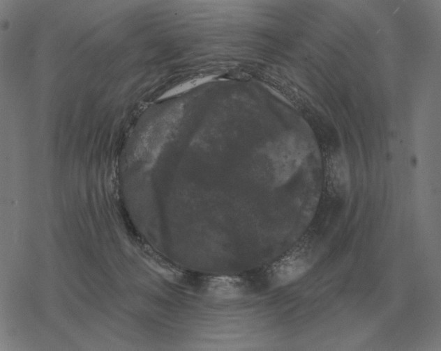 X0000077320222200611101506