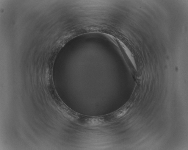 X0000077320223200611101506