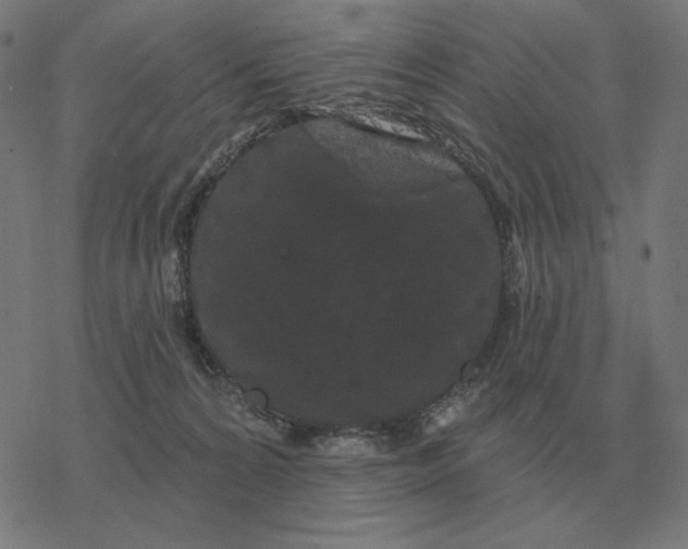 X0000077320224200611101506