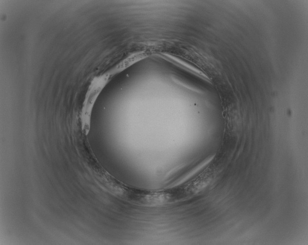 X0000077320225200611101506