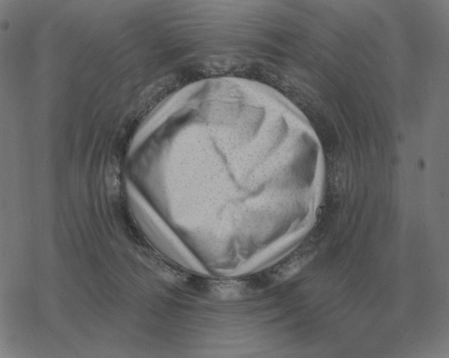 X0000077320226200611101506