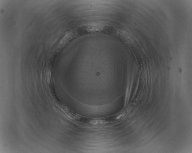 X0000077320227200611101506