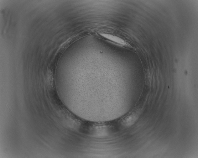 X0000077320228200611101506