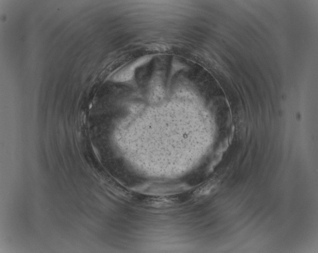 X0000077320229200611101506