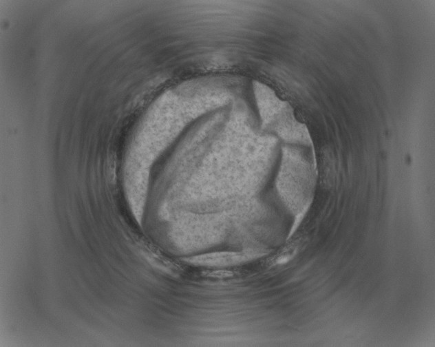 X0000077320230200611101506