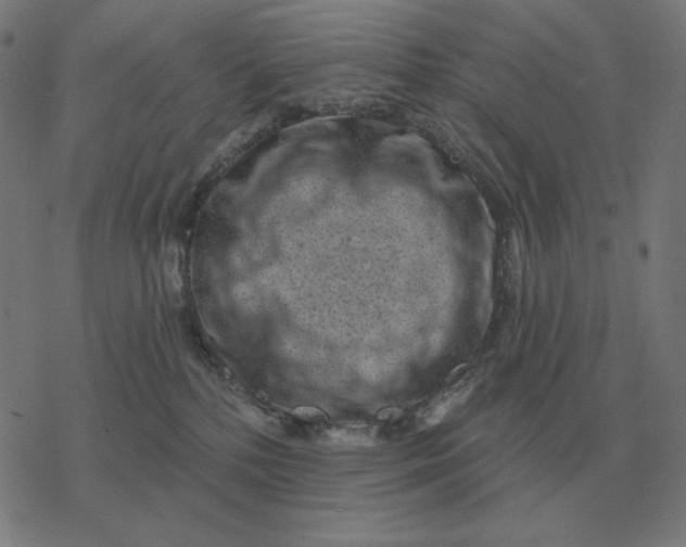 X0000077320232200611101506