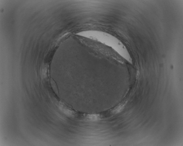 X0000077320233200611101506