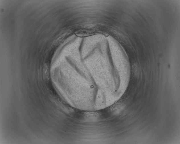 X0000077320234200611101506