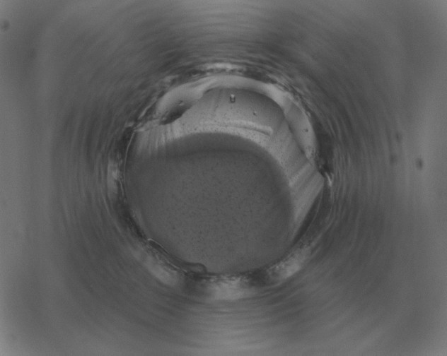 X0000077320235200611101506