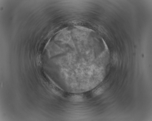 X0000077320236200611101506