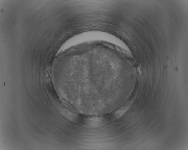 X0000077320237200611101506