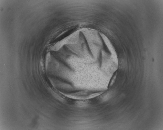 X0000077320238200611101506