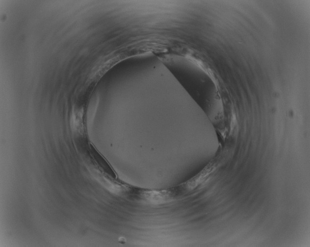 X0000077320239200611101506