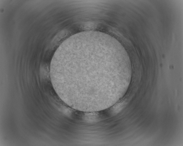 X0000077320240200611101506