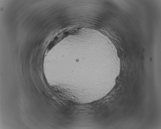 X0000077320241200611101505