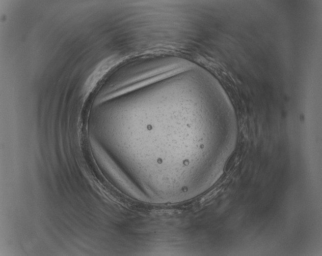 X0000077320242200611101505