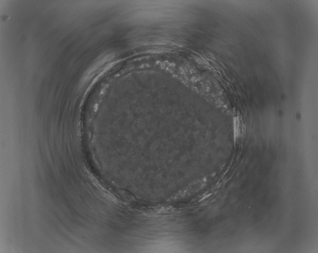 X0000077320243200611101505