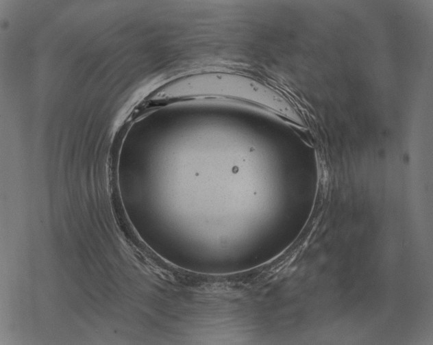 X0000077320244200611101505