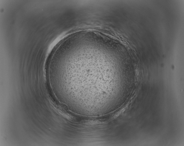 X0000077320246200611101505