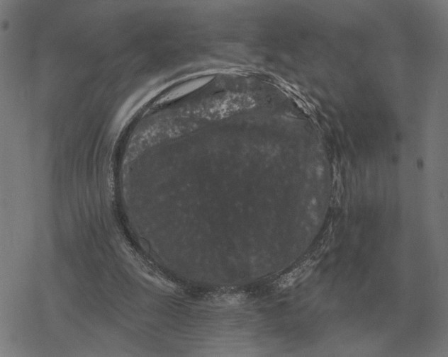 X0000077320247200611101505