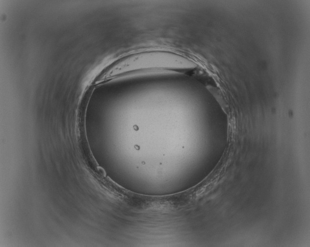 X0000077320248200611101505