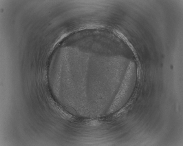 X0000077320249200611101505