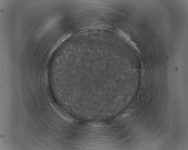 X0000077320250200611101505