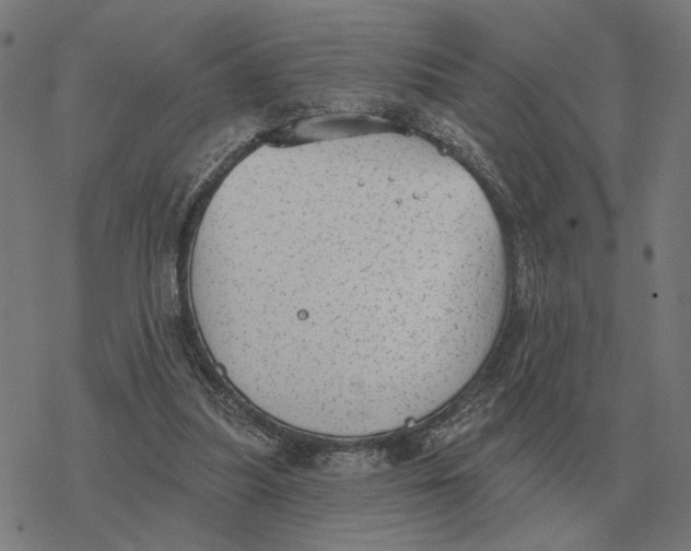 X0000077320251200611101505