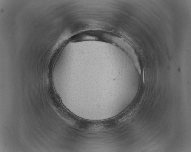 X0000077320252200611101505