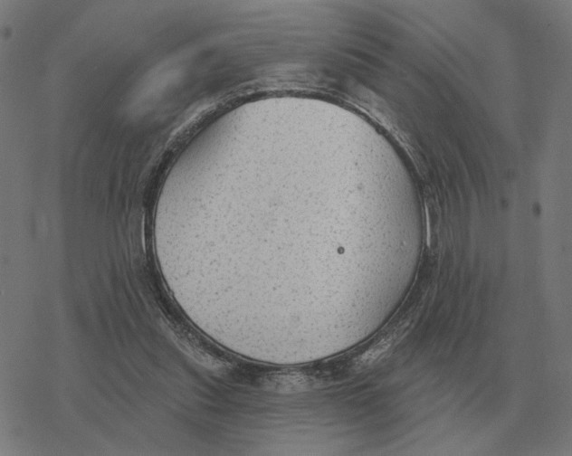 X0000077320253200611101505