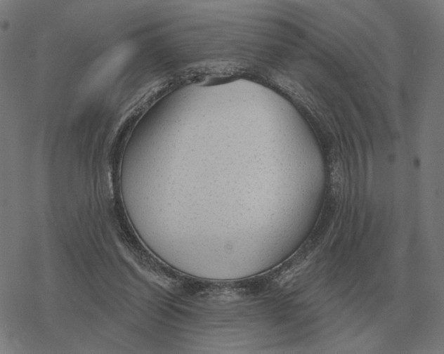 X0000077320254200611101505