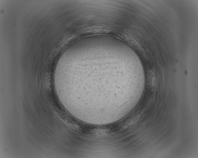 X0000077320255200611101505