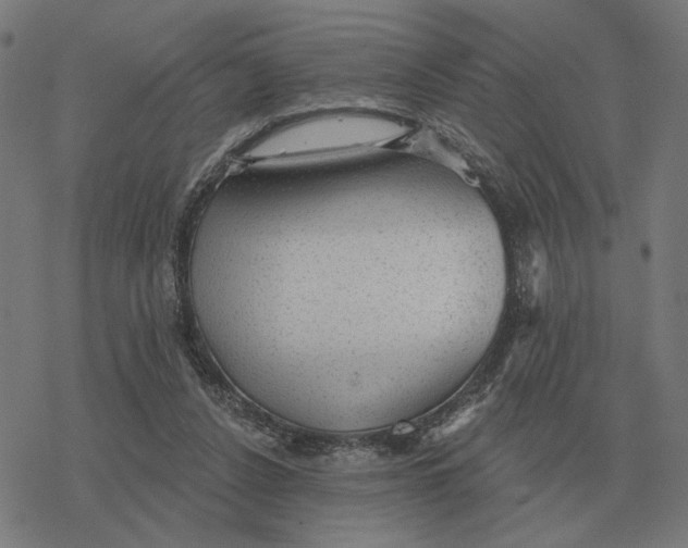 X0000077320256200611101505