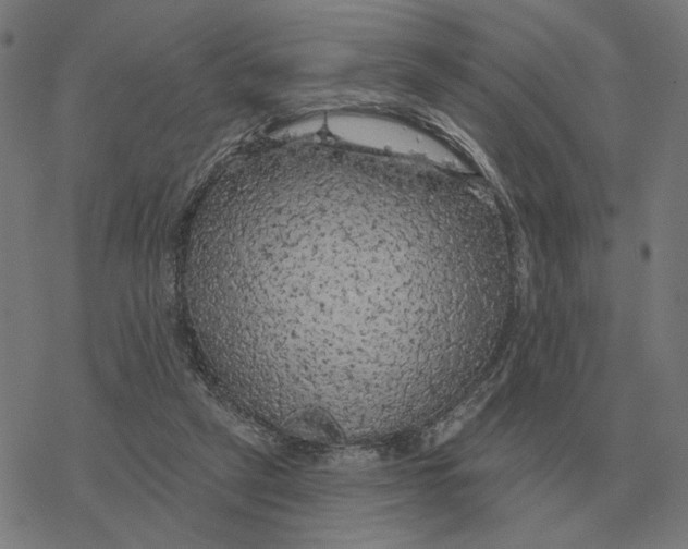 X0000077320257200611101505