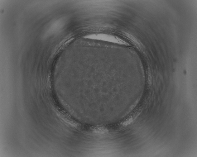 X0000077320258200611101505