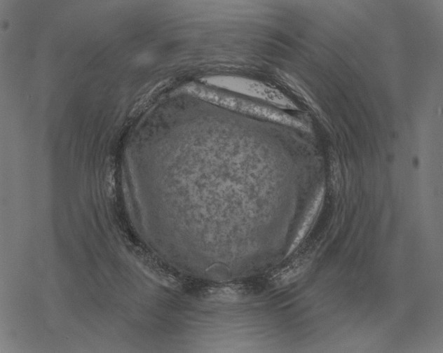 X0000077320259200611101505