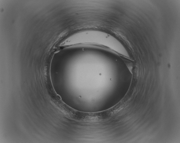 X0000077320260200611101505